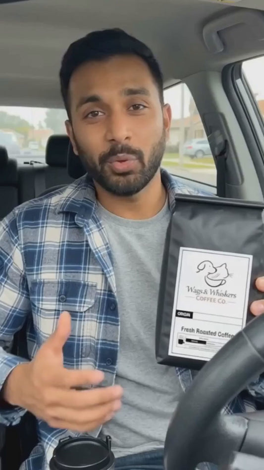 Pumpkin Spice Coffee | Natural Pumpkin, Cinnamon & Nutmeg | Year-Round Flavored Coffee"